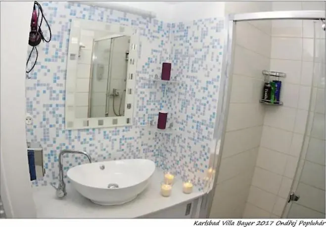 Apartman Vila Bayer Karlovy Vary