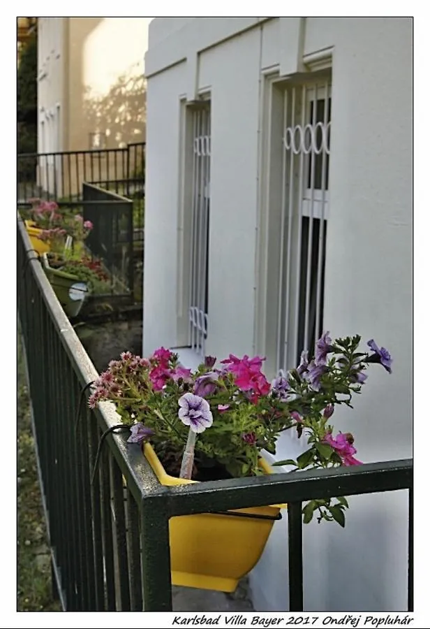 Apartman Vila Bayer Karlovy Vary Apartment