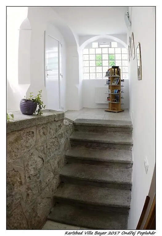 Apartman Vila Bayer Karlovy Vary Apartment