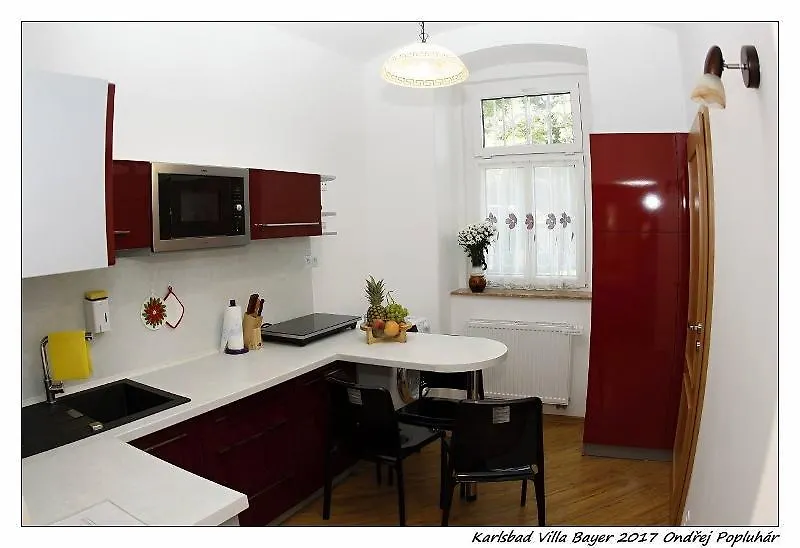 Apartman Vila Bayer Karlovy Vary 0*,  Czech Republic