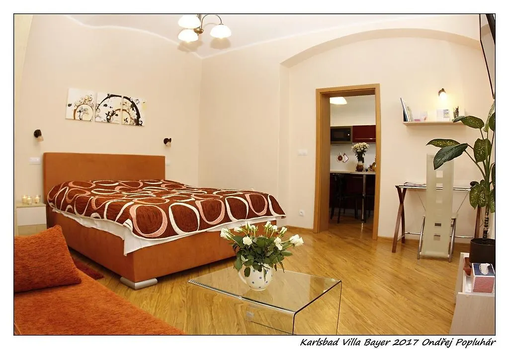 Apartment Apartman Vila Bayer Karlovy Vary